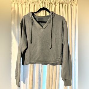 American Eagle Crop Sweatshirt